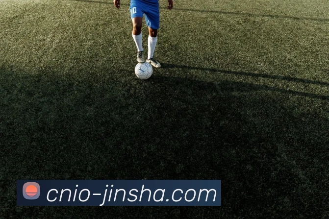 金沙国际平台生态图